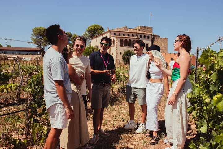 Montserrat & Cogwheel Train, Gourmet Wine Tasting & Tapas/Lunch
