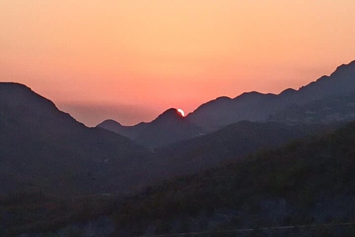 Small Group Sunrise Safari Adventure Half Day Tour