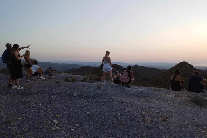 Small Group Sunrise Safari Adventure Half Day Tour