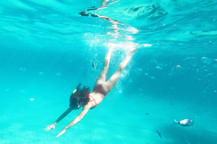 Dive