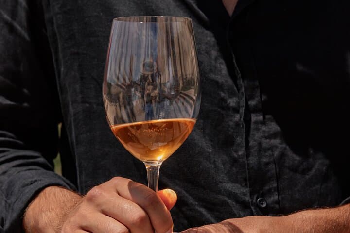 Barcelona: PRIORAT Wine Tour 3 Wine Tastings & 3-course Meal