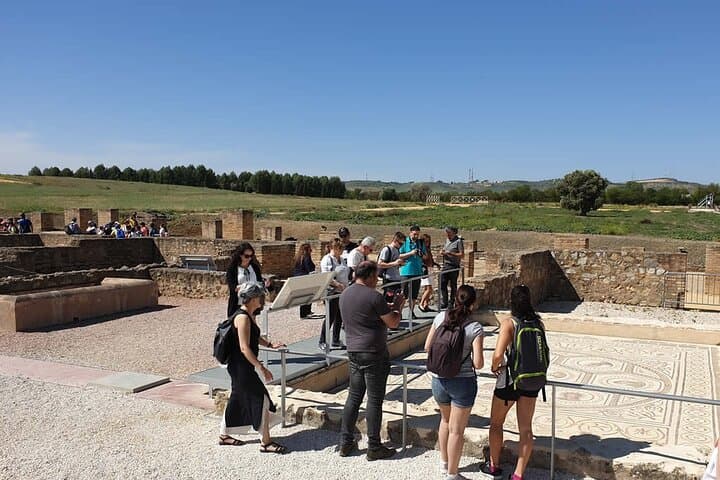 Private hald day tour to the historic roman city of Italica