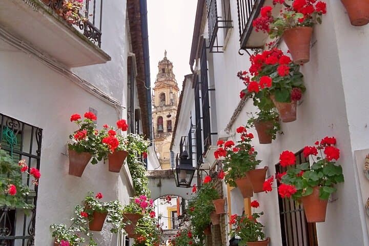 Cordoba Private Walking Tour