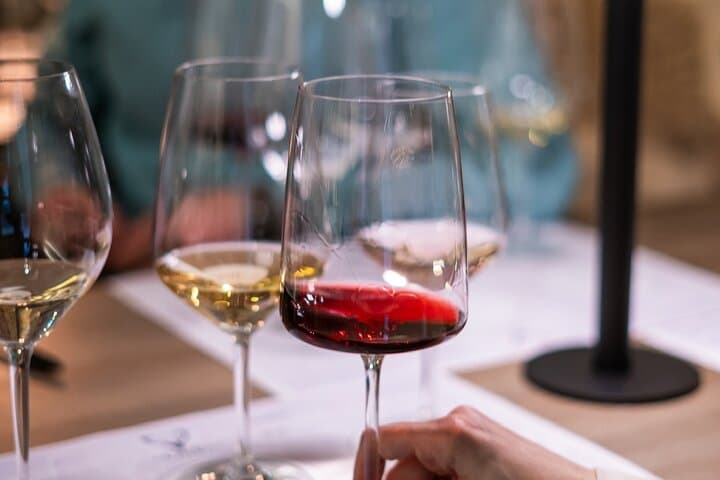 Private Wine Tasting Experience in Araba Spain