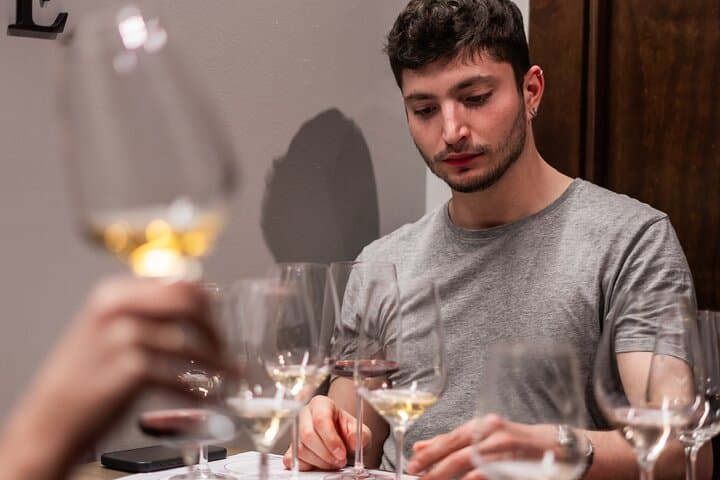 Private Wine Tasting Experience in Araba Spain