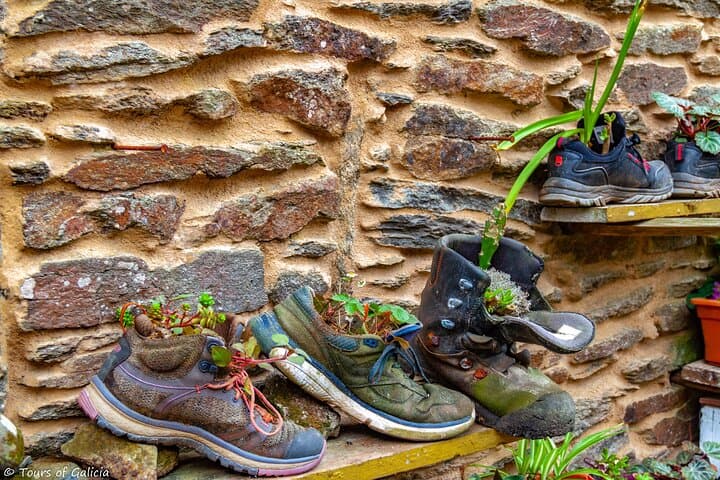 Camino shoes