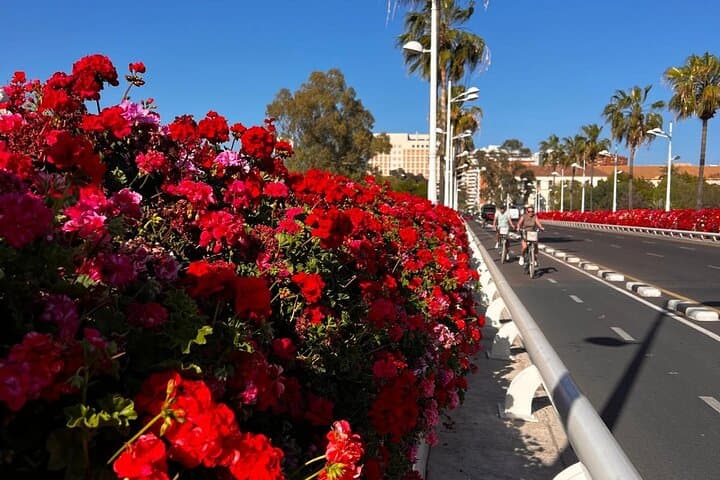 Private Old Town Golden Age Valencia Tour