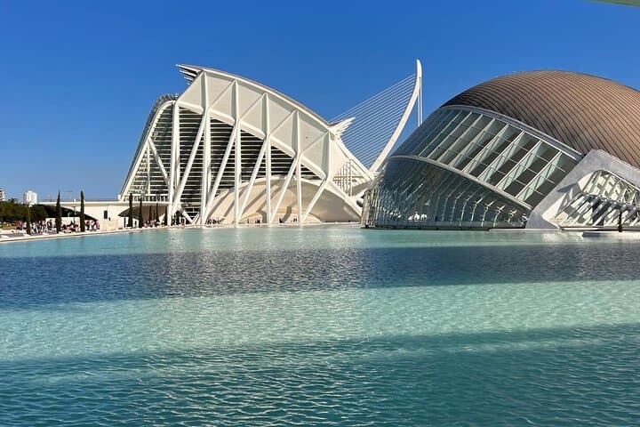 Valencia: City of Arts and Sciences Private Walking Tour