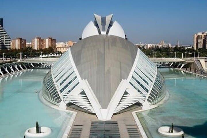 Valencia: City of Arts and Sciences Private Walking Tour