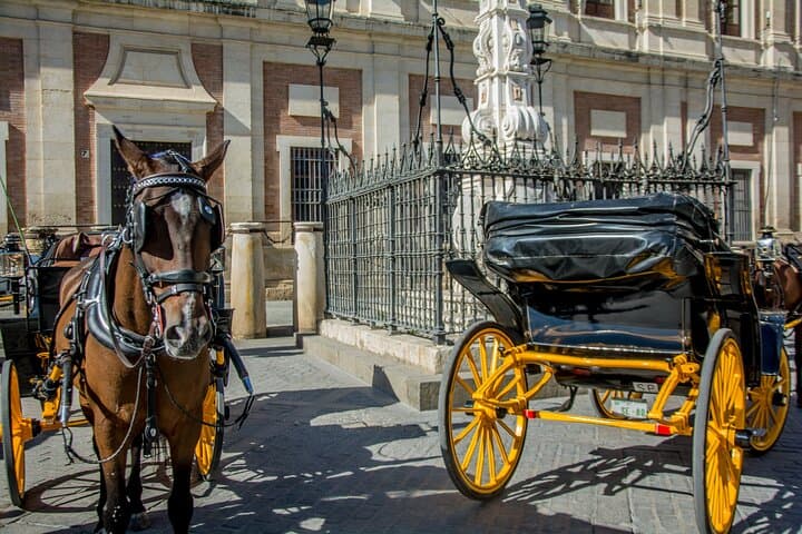 2h30 Private Walking Tour of Seville with Local Guide