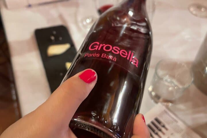 Private Wine Tasting at Winery Near Barcelona