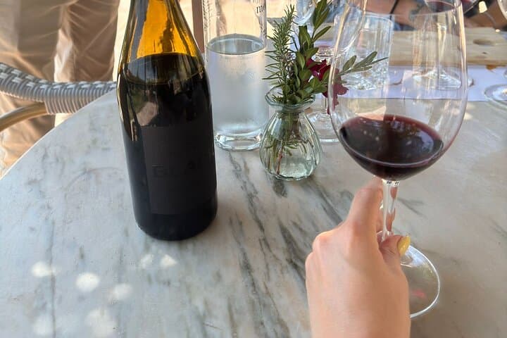 Private Wine Tasting at Winery Near Barcelona