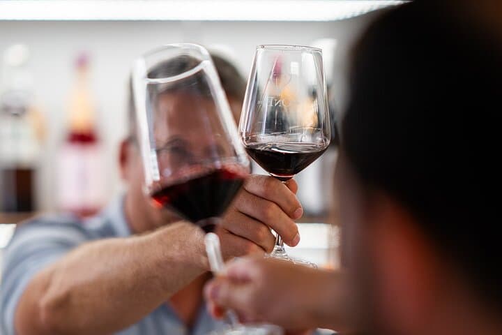 Private Wine Tasting Experience in Araba Spain