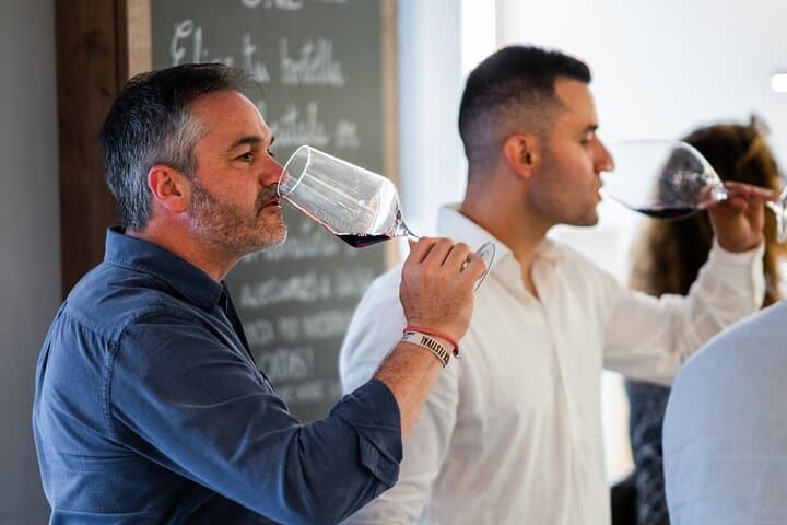 Private Wine Tasting Experience in Araba Spain