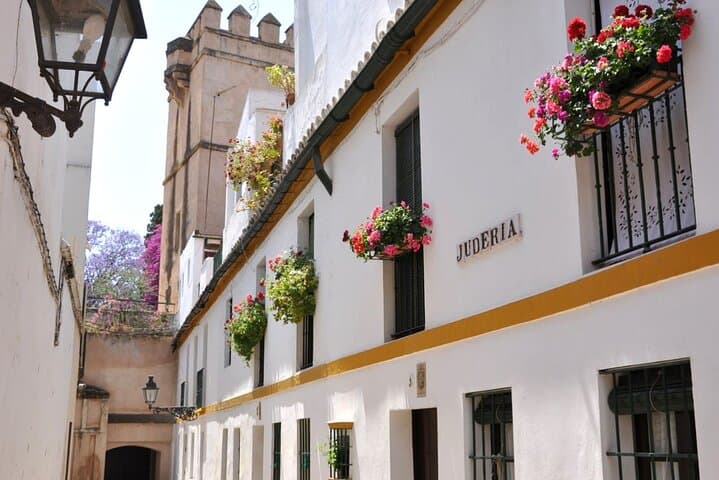 Seville Private Tour 3 Hours