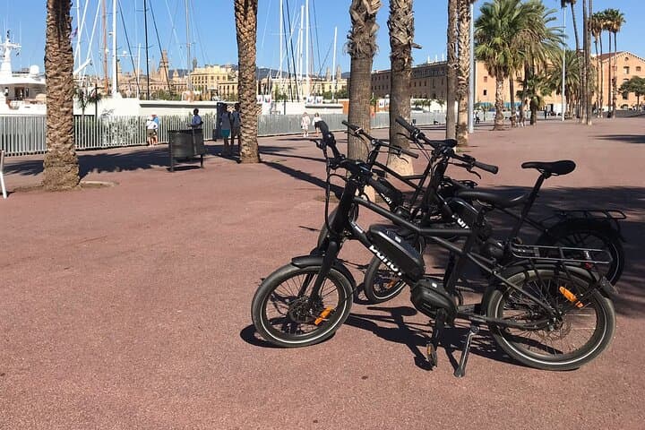 Electric bike tour through parks and beaches in Barcelona