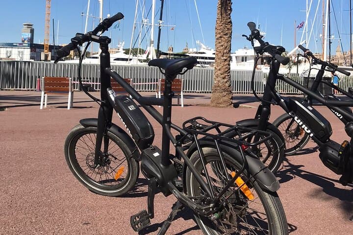 Electric bike tour through parks and beaches in Barcelona