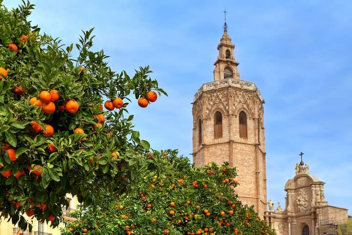 Private Walking Tour of Valencia with Official Guide