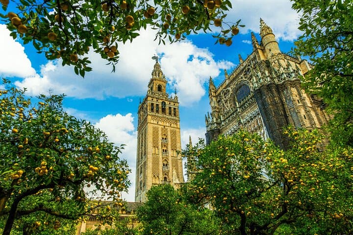 Skip the Line Seville Alcázar, Cathedral & Giralda Guided Tour