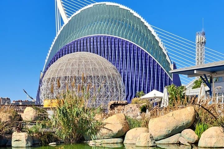 Offer City Arts and Sciences SEGWAY TOUR