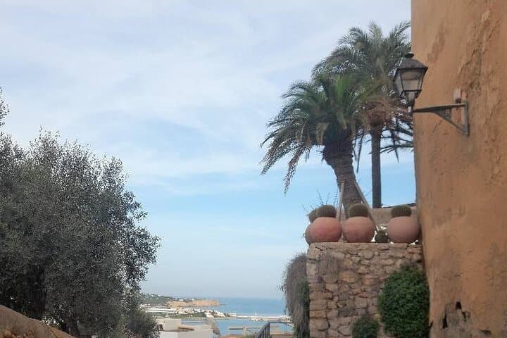 OFFSHORE Private Guided Tour in Ibiza -Unesco old town & beaches