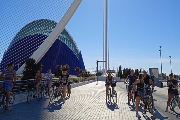 Exclusive Valencia Private Electric Bike Tour