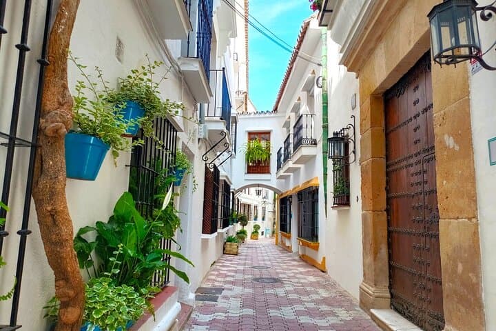 Marbella & Puerto Banús private trip from Malaga