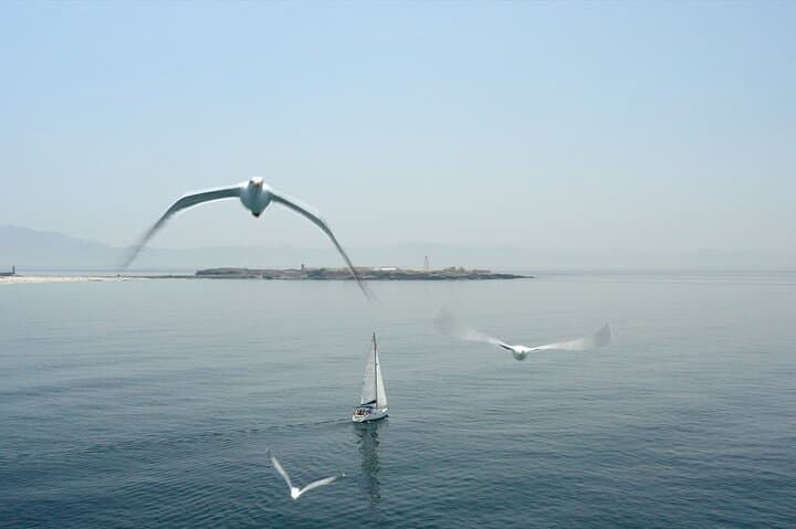 Sailing in the background the island of Las Palomas