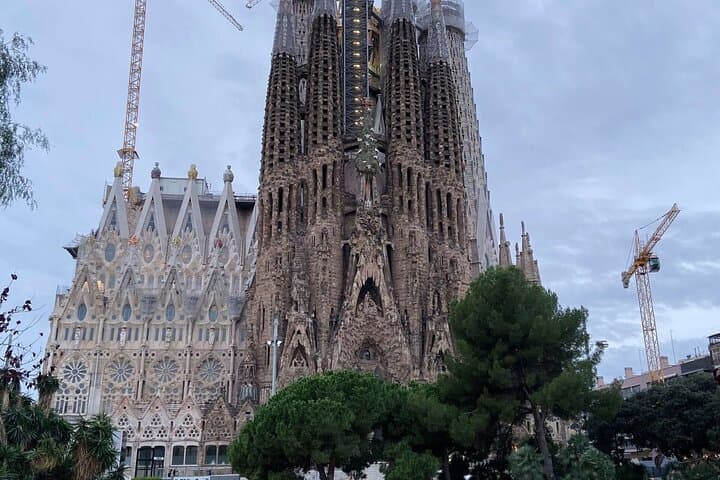 Full Day Private Sightseeing Tour and visit La Roca Village