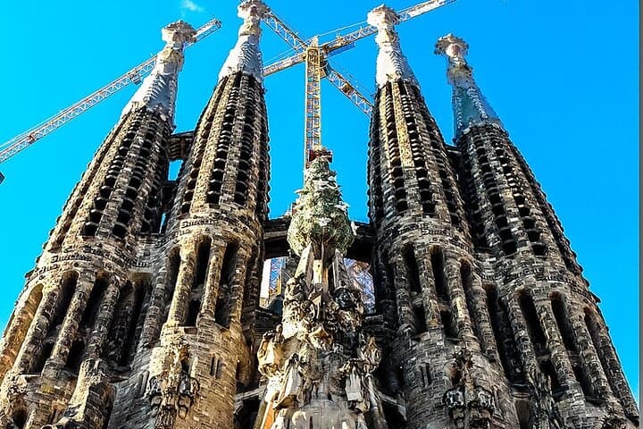 Full Day Private Sightseeing Tour and visit La Roca Village