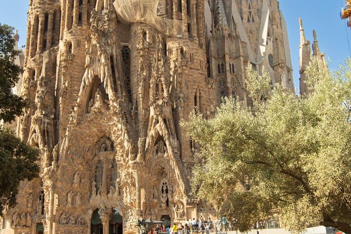 Tailored Barcelona Tour: Sagrada Familia, Casa Batlló & Pedrera