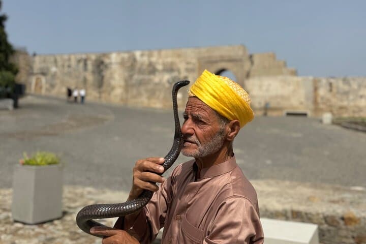Exclusive Tangier Tour from Gibraltar with Camel Ride and Lunch