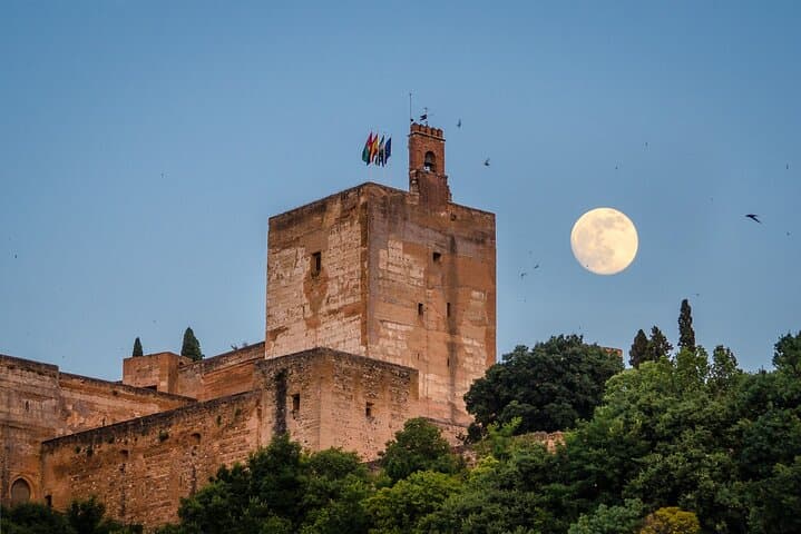 Granada & Alhambra Private Daytrip from Marbella