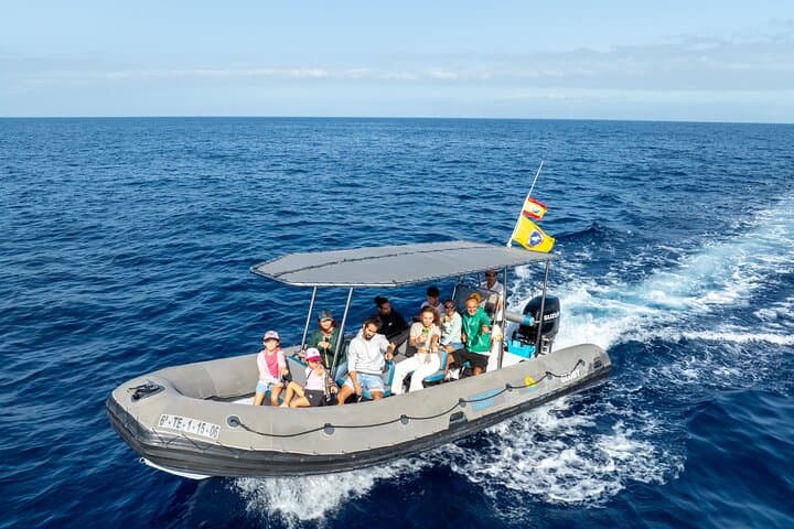 Our new boat with shade and more confortable seats for everyone!