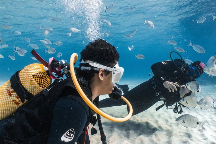 Lanzarote: Try Scuba Diving – No Experience Needed