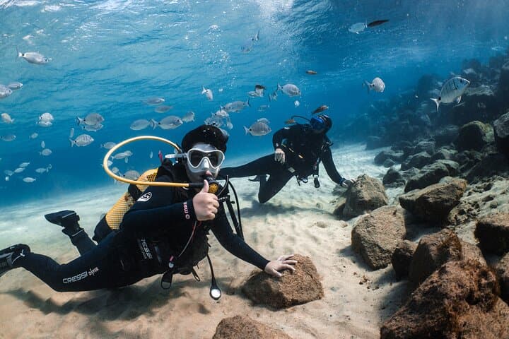 Lanzarote: Try Scuba Diving – No Experience Needed