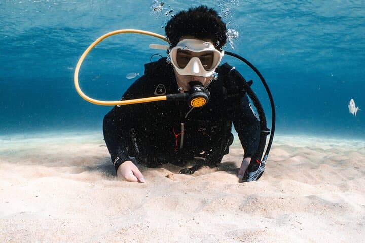 Lanzarote: Try Scuba Diving – No Experience Needed