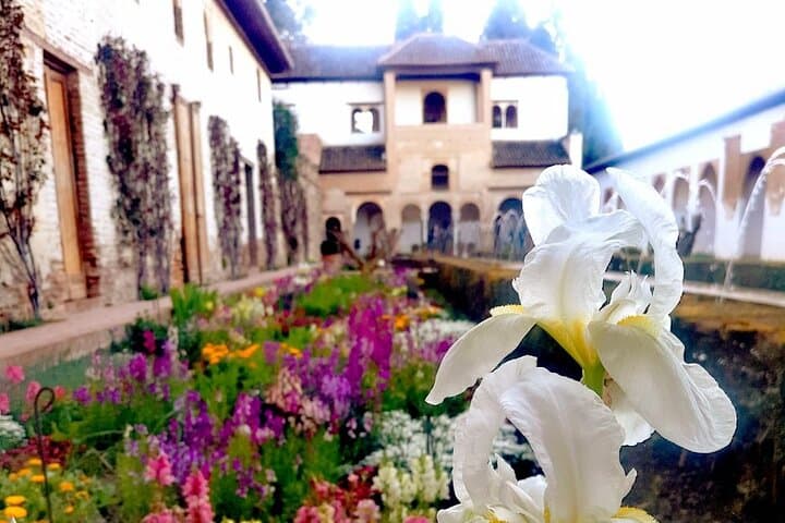 Alhambra Private Tour with Tickets to the Nasrid Palaces