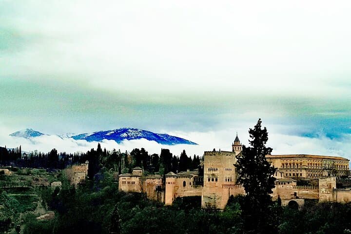 Alhambra Private Tour with Tickets to the Nasrid Palaces