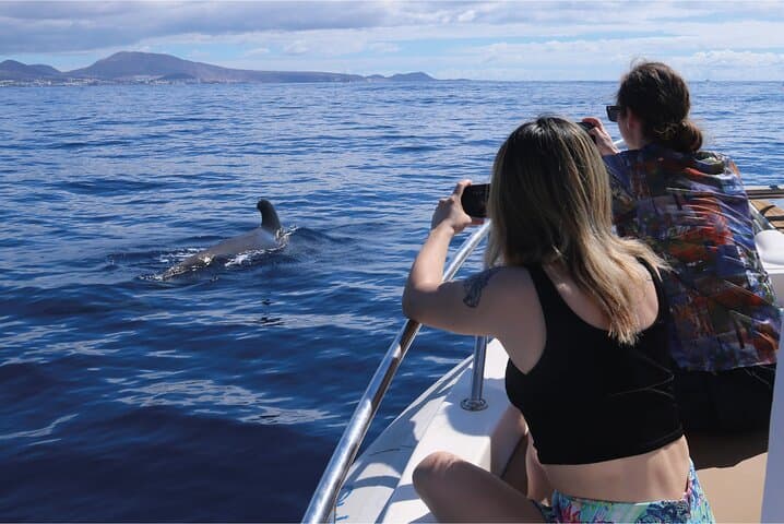 Costa Adeje : Cetacean sighting in Tenerife South