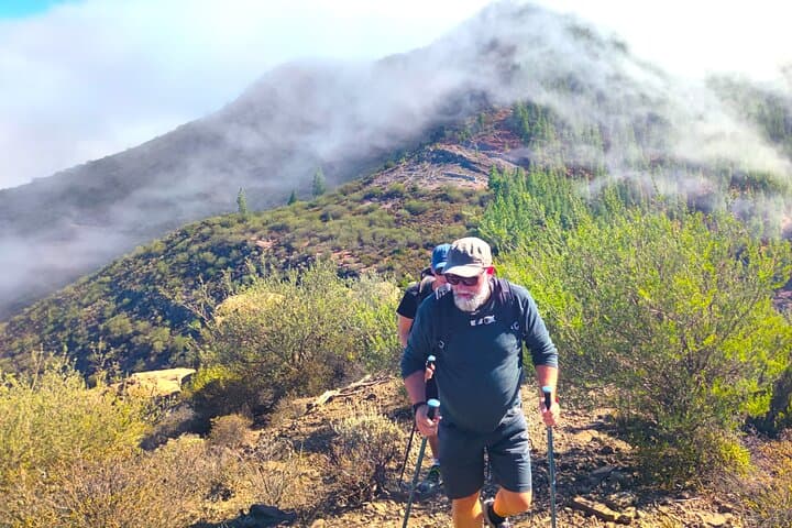 Tenerife Hiking in Enchanted Forest Above Masca with PICKUP
