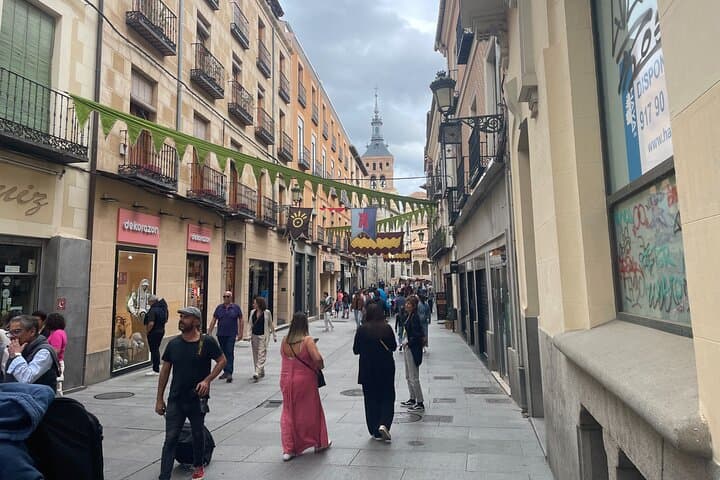 Half Day Segovia Private Tour by Minivan