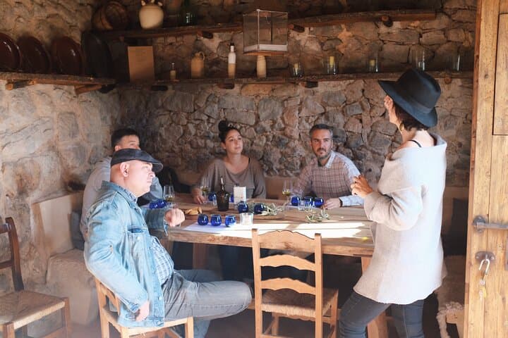 Tasting of Olive Oil in Finca de Valldemossa