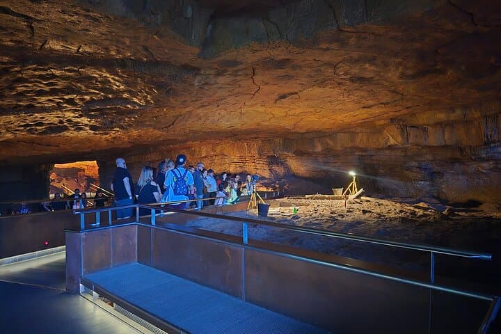Private Walking Tour of Altamira and Neocave Museum