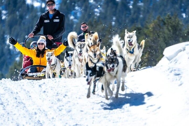 Andorra Snow Private Day Tour with 2 Guides and Hotel Pickup
