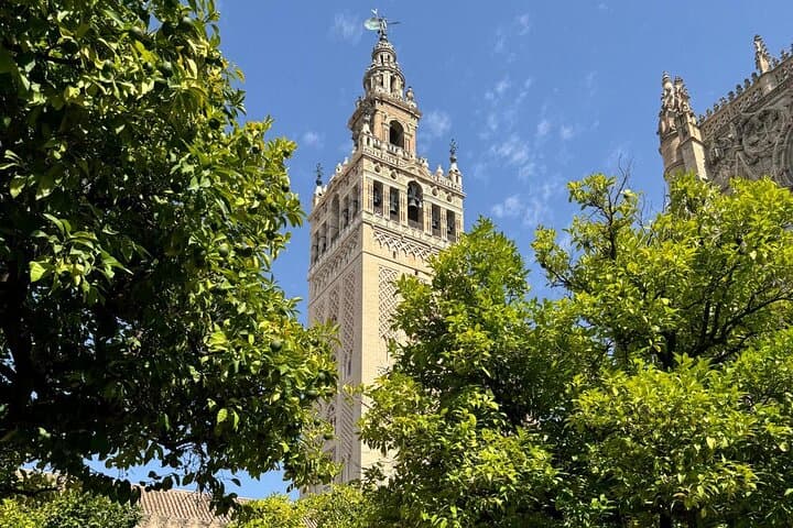 Cathedral Tour of Seville Giralda and Barrio Santa Cruz All in One