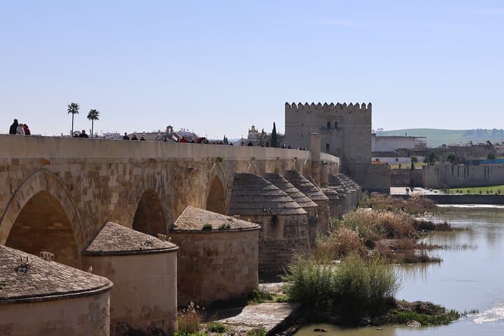 Private Tour Cathedral of Cordoba Mosque and Historic Center