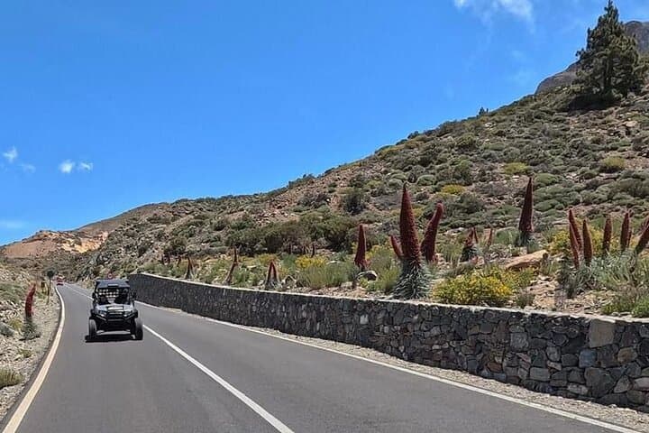 Buggy Tour Volcano Teide in Teide National Park