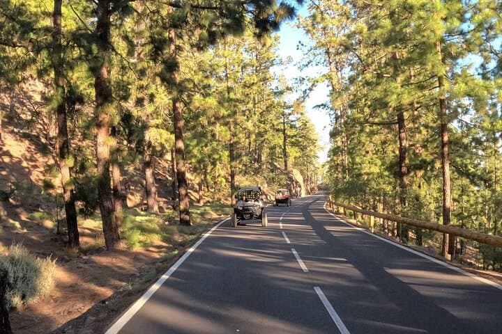 Buggy Tour Volcano Teide in Teide National Park