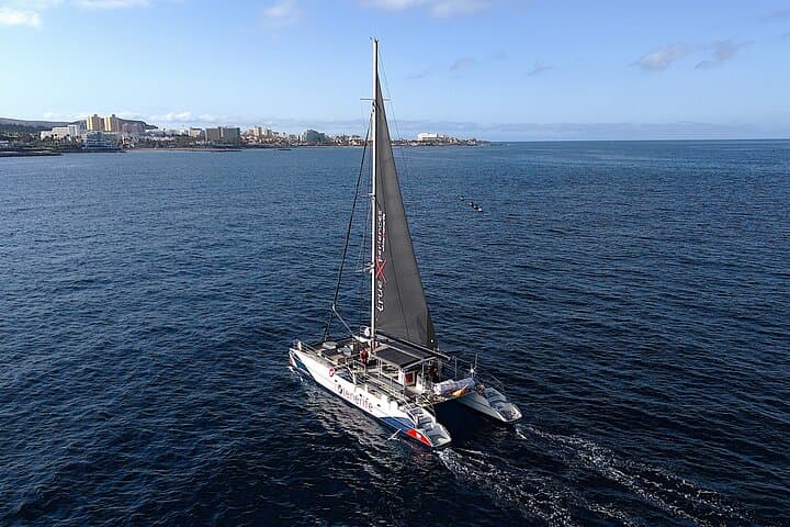 Eco catamarán sostenible con placas solares. Sustainable eco catamaran with solar panels.